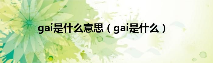gai是什么意思（gai是什么）