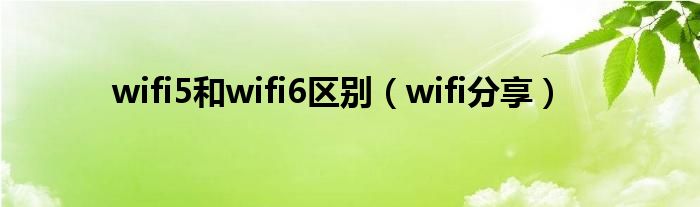 wifi5和wifi6区别（wifi分享）
