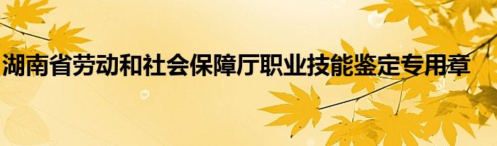 湖南省劳动和社会保障厅职业技能鉴定专用章