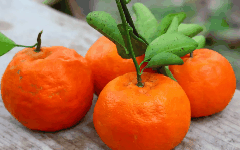 吃橘子抗原会假阳性真的假的3