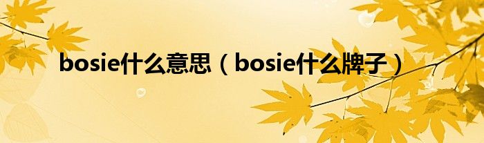 bosie什么意思（bosie什么牌子）