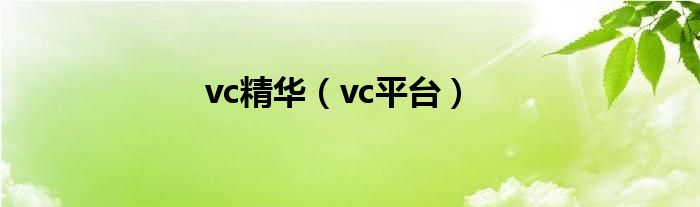 vc精华（vc平台）
