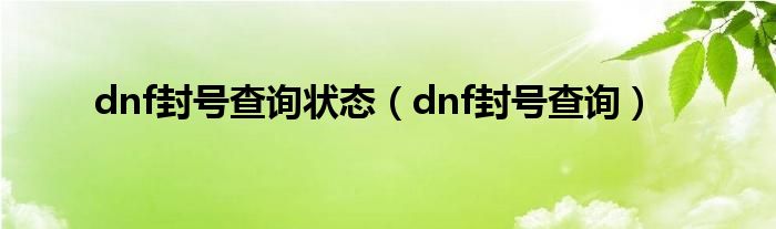 dnf封号查询状态（dnf封号查询）