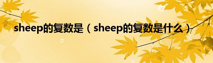 sheep的复数是（sheep的复数是什么）
