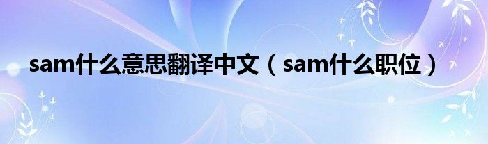 sam什么意思翻译中文（sam什么职位）