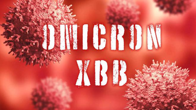 XBB.1.5毒株是什么病毒？有必要囤蒙脱石散吗？