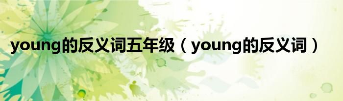 young的反义词五年级（young的反义词）