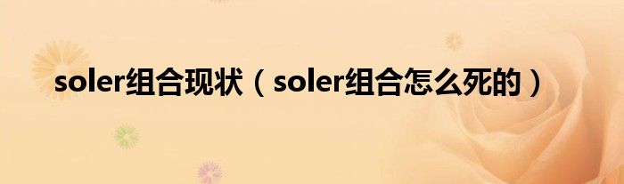 soler组合现状（soler组合怎么死的）