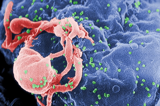 全球第三例治愈者出现 人类能杀死艾滋“巨兽”吗？