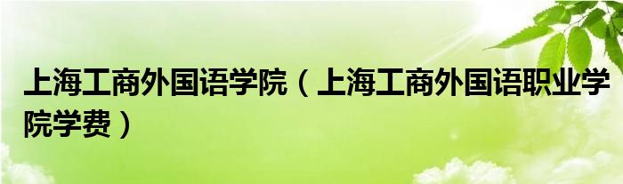 上海工商外国语学院（上海工商外国语职业学院学费）
