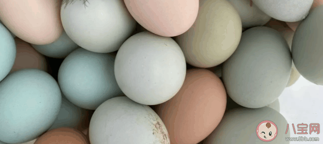笨鸡蛋这个词的来源是什么 笨鸡蛋和普通鸡蛋有什么区别
