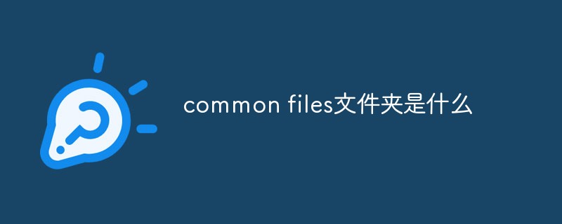 common files是什么文件(common是什么文件夹)