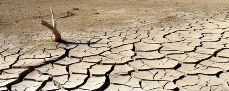干旱是怎么形成的 干旱是自然灾害吗