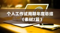 个人工作试用期年度总结（素材7篇）