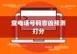 查电话号码吉凶预测打分