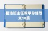 精选班主任教学总结范文10篇