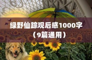 绿野仙踪观后感1000字（9篇通用）