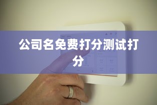 公司名免费打分测试打分