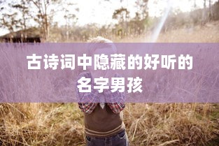 古诗词中隐藏的好听的名字男孩  第1张