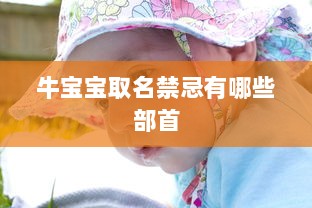 牛宝宝取名禁忌有哪些部首
