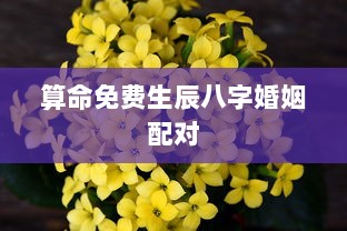 算命免费生辰八字婚姻配对 第1张 算命免费生辰八字婚姻配对 第1张