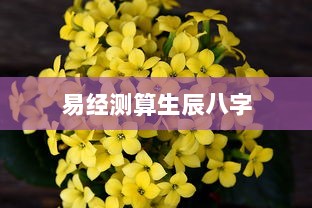 易经测算生辰八字  第1张 易经测算生辰八字  第1张