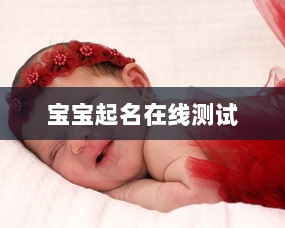 宝宝起名在线测试