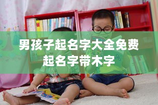 男孩子起名字大全免费起名字带木字  第1张