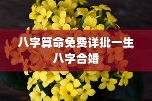 八字算命免费详批一生八字合婚  第1张