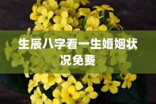 生辰八字看一生婚姻状况免费 第1张 生辰八字看一生婚姻状况免费 第1张