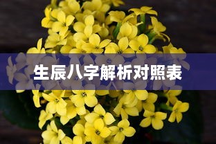 生辰八字解析对照表