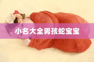 小名大全男孩蛇宝宝