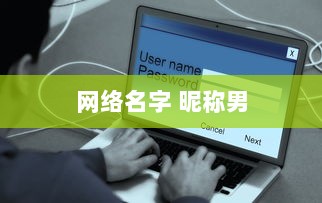 网络名字 昵称男