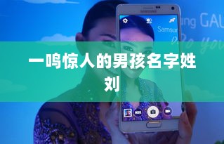 一鸣惊人的男孩名字姓刘 第1张 一鸣惊人的男孩名字姓刘 第1张