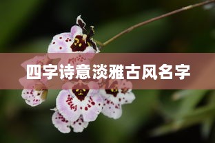 四字诗意淡雅古风名字  第1张