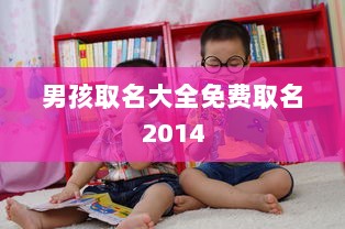 男孩取名大全免费取名2014