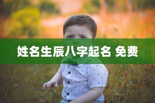 姓名生辰八字起名 免费  第1张