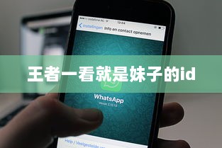 王者一看就是妹子的id  第1张