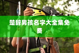 楚辞男孩名字大全集免费