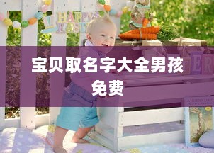 宝贝取名字大全男孩免费