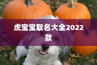 虎宝宝取名大全2022款