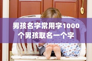 男孩名字常用字1000个男孩取名一个字