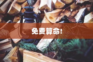 免费算命!