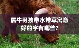 属牛男孩带水带草寓意好的字有哪些?  第1张