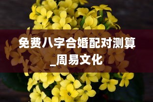 免费八字合婚配对测算_周易文化  第1张 免费八字合婚配对测算_周易文化  第1张