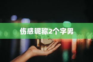 伤感昵称2个字男