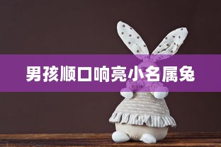 男孩顺口响亮小名属兔  第1张 男孩顺口响亮小名属兔  第1张