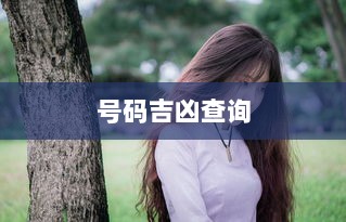 号码吉凶查询