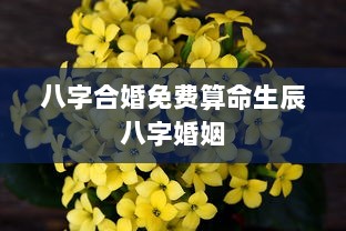 八字合婚免费算命生辰八字婚姻