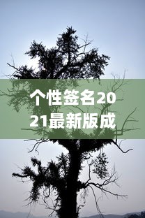 个性签名2021最新版成熟  第1张 个性签名2021最新版成熟  第1张